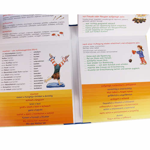 Pfiffikus - der Sprachgestalter | Nachschlagewerk zur Wortschatzerweiterung und Ausdrucksverbesserung | Klappbuch | 2501