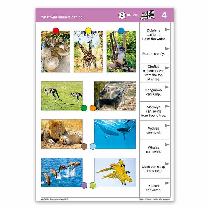 English Follow Up | LOGICO-Uebungsbox MAXIMO | Beispielkarte What wild animals can do | 3780