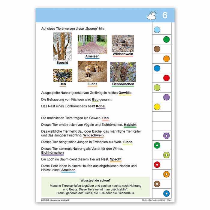 Sachunterricht 3 und 4 | LOGICO-Uebungsbox PICCOLO | Klappkarte Rueckseite Tiere des Waldes | 3640