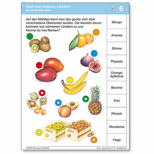 Sachunterricht 1 und 2 | LOGICO-Uebungsbox PICCOLO | Obst aus anderen Laendern | 3333