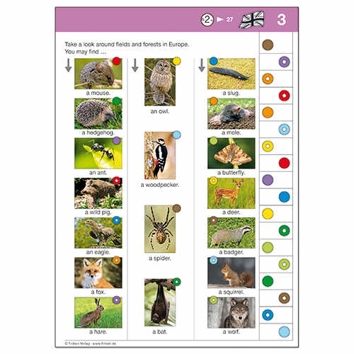 English Follow Up | LOGICO-Uebungsbox MAXIMO | Beispielkarte Rueckseite Animals in Europe | 3780